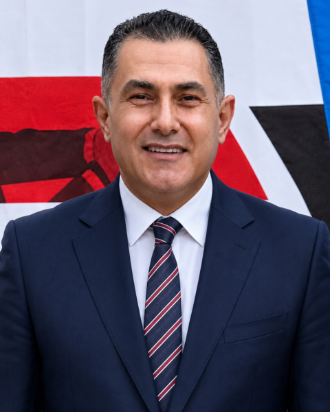 Mohamed Hassan ELweshahy